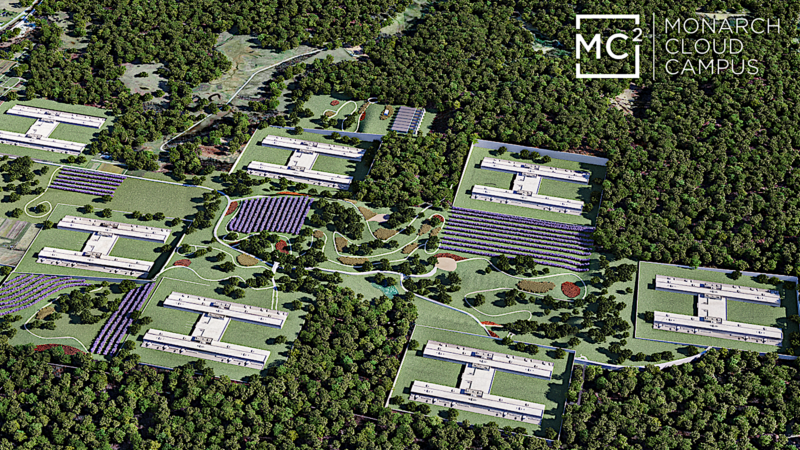 Morrisey announces plan to preserve chestnut trees in Mason County